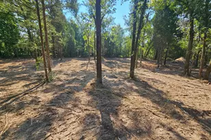 0 S Pennsylvania St, Malakoff, TX 75148 - Photo 5