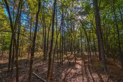 0 Cr-3409, Chandler, TX 75758 - Photo 27