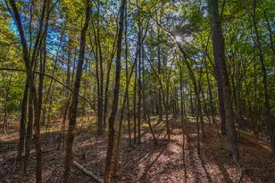 0 Cr-3409, Chandler, TX 75758 - Photo 27