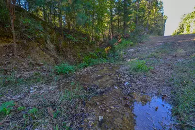 0 Cr-3409, Chandler, TX 75758 - Photo 9