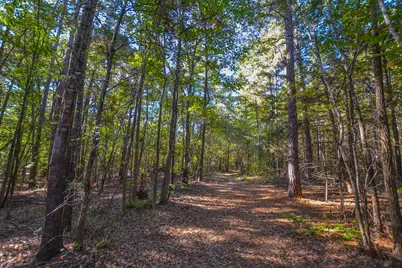 0 Cr-3409, Chandler, TX 75758 - Photo 5