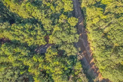 0 Cr-3409, Chandler, TX 75758 - Photo 35