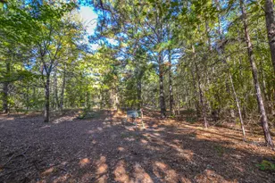 0 Cr-3409, Chandler, TX 75758 - Photo 7