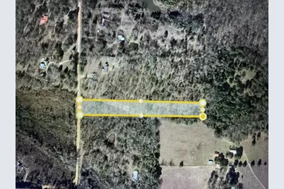 Tbd Private Road 52423, Leesburg, TX 75451 - Photo 3