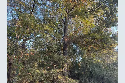 Tbd Private Road 52423, Leesburg, TX 75451 - Photo 13