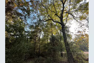 Tbd Private Road 52423, Leesburg, TX 75451 - Photo 11