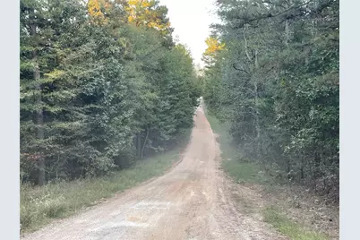 Tbd Private Road 52423, Leesburg, TX 75451 - Photo 17