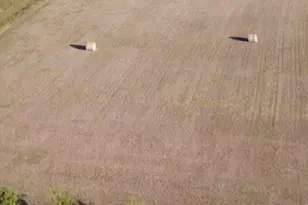 757 E Cottage Hill Pkwy, McKinney, TX 75071 - Photo 3