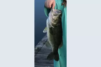 300 County Road 27100, Honey Grove, TX 75446 - Photo 39