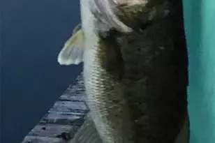 300 County Rd 27100, Honey Grove, TX 75446 - Photo 39