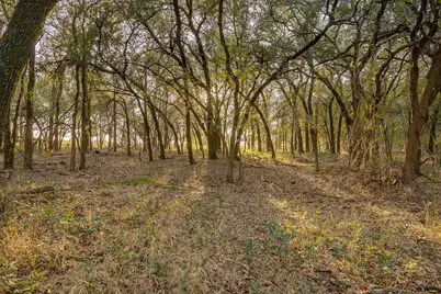 51 Cattle Trail, Palo Pinto, TX 76484 - Photo 13