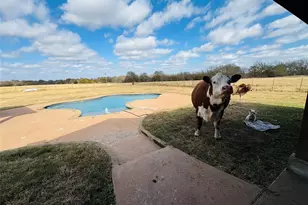 5314 Co Rd 3204, Campbell, TX 75422 - Photo 3