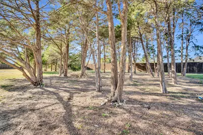 4040 Underwood Lane, Midlothian, TX 76065 - Photo 11