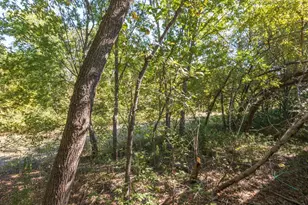 442 Sonoma Dr, Rockwall, TX 75087 - Photo 17