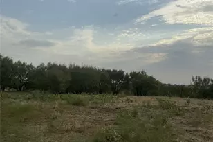 381 Private Road 4512, Decatur, TX 76234 - Photo 5