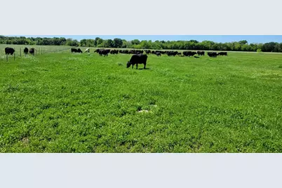 1567 Fm 1567, Lone Oak, TX 75453 - Photo 3