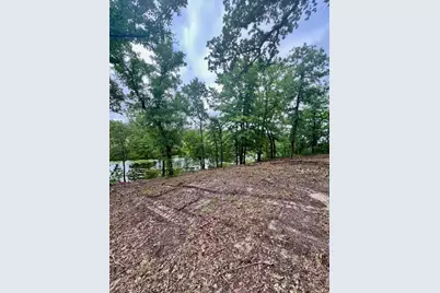 Lot 14 County Road 4801, Athens, TX 75752 - Photo 7