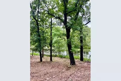 Lot 14 County Road 4801, Athens, TX 75752 - Photo 3