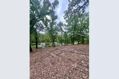 Lot 14 County Road 4801, Athens, TX 75752 - Photo 15