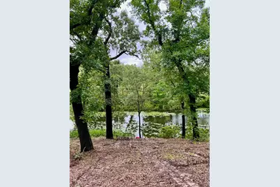 Lot 14 County Road 4801, Athens, TX 75752 - Photo 5