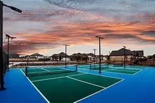 217 Raveena Blvd, Justin, TX 76247 - Photo 35