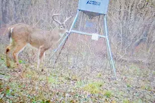 14951 Co Rd 622, Blue Ridge, TX 75424 - Photo 37