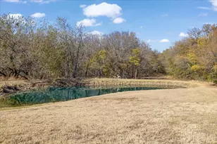14951 Co Rd 622, Blue Ridge, TX 75424 - Photo 9