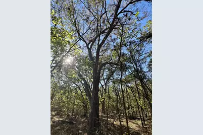 14951 County Road 622, Blue Ridge, TX 75424 - Photo 35