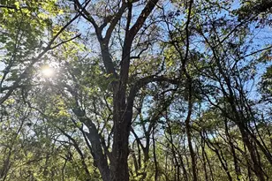 14951 Co Rd 622, Blue Ridge, TX 75424 - Photo 35