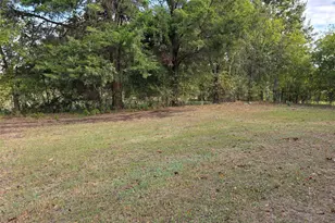 3830 Co Rd 4040, Whitewright, TX 75491 - Photo 5