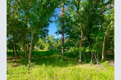 Lot 51 Wicklow Ct, Poolville, TX 76487 - Photo 3