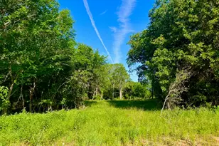 Lot 51 Wicklow Ct, Poolville, TX 76487 - Photo 1