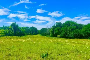 Lot 99 Arlow Rd, Poolville, TX 76487 - Photo 1