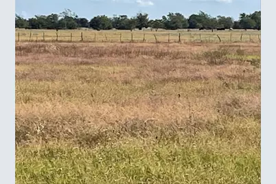 2441 Cr 3512, Dike, TX 75437 - Photo 9