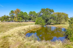 1710 FM 667, Purdon, TX 76679 - Photo 35