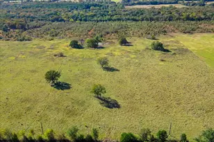 Lot 5 Rains Cr 2610, Alba, TX 75410 - Photo 3