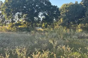 767 Welch Ln, Gun Barrel City, TX 75156 - Photo 1