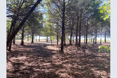 1648 Gordonville Road, Gordonville, TX 76245 - Photo 11