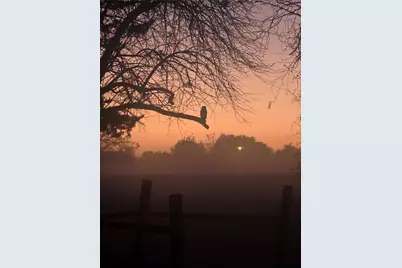 8009 Wood Lane, Terrell, TX 75160 - Photo 35