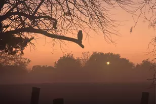 8009 Wood Ln, Terrell, TX 75160 - Photo 35