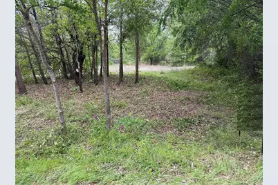 341 Schooner Road, Gun Barrel City, TX 75156 - Photo 1