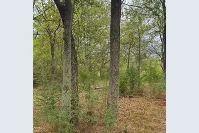 Tbd Vzcr 1118, Grand Saline, TX 75140 - Photo 3