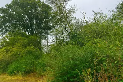 Tbd Vzcr 1118, Grand Saline, TX 75140 - Photo 5