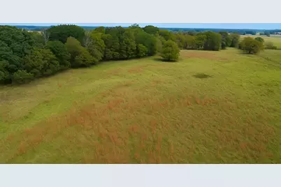 Tbd Vzcr 1118, Grand Saline, TX 75140 - Photo 1