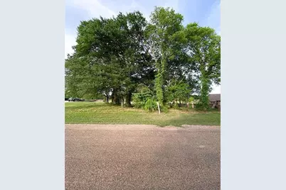 107 Cape Shore Drive, Mabank, TX 75143 - Photo 3