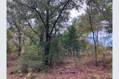 Tbd Lot 16 Westwood Drive, Trinidad, TX 75163 - Photo 1