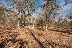 5033 Brook Ln, Anna, TX 75409 - Photo 33