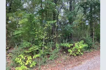 Tbd Lot 17 Westwood Drive, Trinidad, TX 75163 - Photo 1