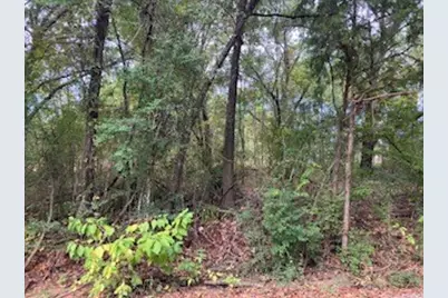 Tbd Lot 17 Westwood Drive, Trinidad, TX 75163 - Photo 5