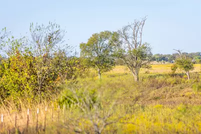 4045 County Road 212, Alvarado, TX 76009 - Photo 9